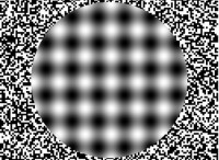 /album/galeria-de-fotos/tumblr-m0wfvrkg4i1qgcuf9o1-500-jpg1/